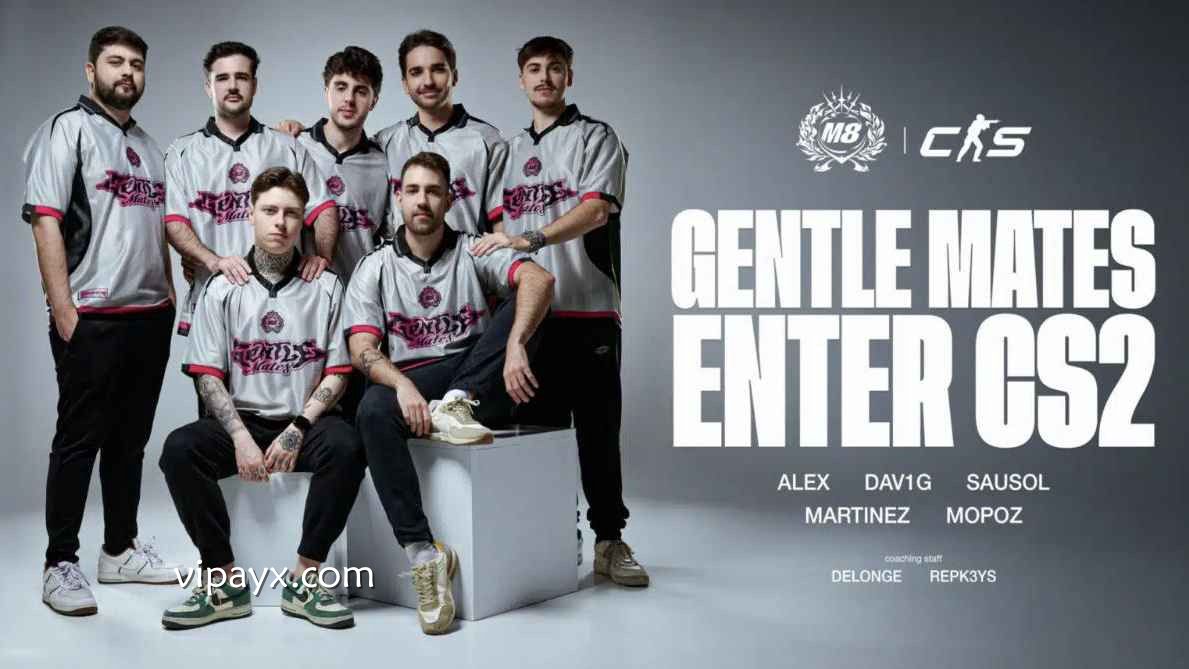 爱游戏 | CS2 Gentle Mates 战队